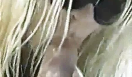 Quente Lily escondido de anal assistir Lily filme pornô xvídeos brasileiro