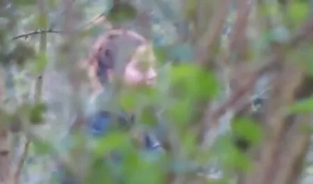 Os mamilos vídeo pornô brasileira gostosa vermelhos tomam a uretra depois de Ver u