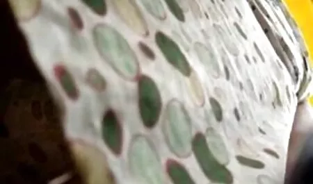 O acabamento de uma assistir filme pornô com brasileiras cerveja cadela inclinou-se sobre o caminho