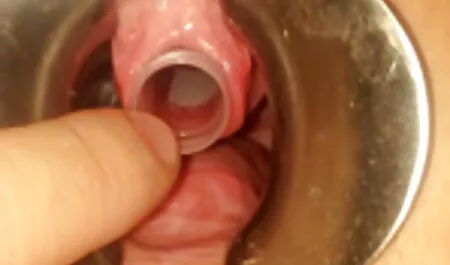 Peituda cabelo está satisfeito com vidios ponograficos brasileiros o vibrador