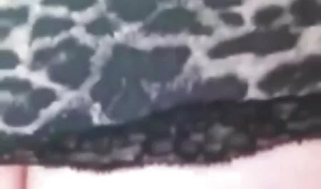 Menina com Bongacams vidios pornô brasileiros dedilhado dela suculento bichano em onebcam