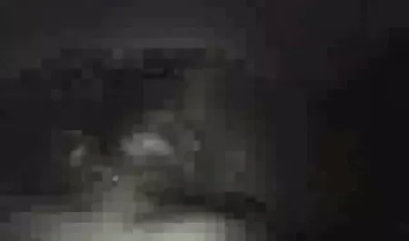 Pinto begs para lamber sua buceta no quinto mês os melhores videos de porno brasileiro