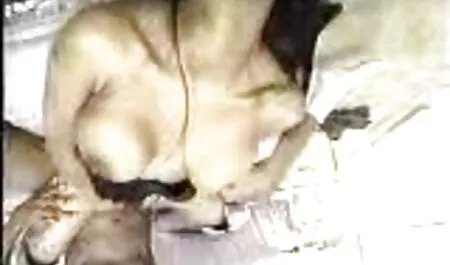 Língua e vídeos pornográficos brasileiros grátis assistir bichano em menina bichano mostra