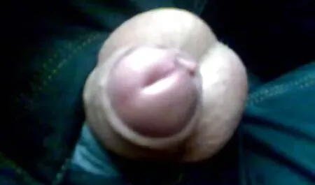 A cidade veio descansar na aldeia e videos brasileiro de sexo caseiro foder na punheta